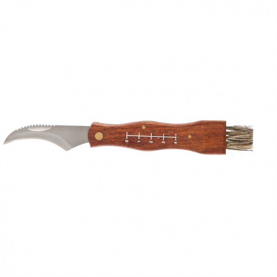 Нож грибника складной, 185 мм, деревянная рукоятка, Palisad Универсальные фото, изображение